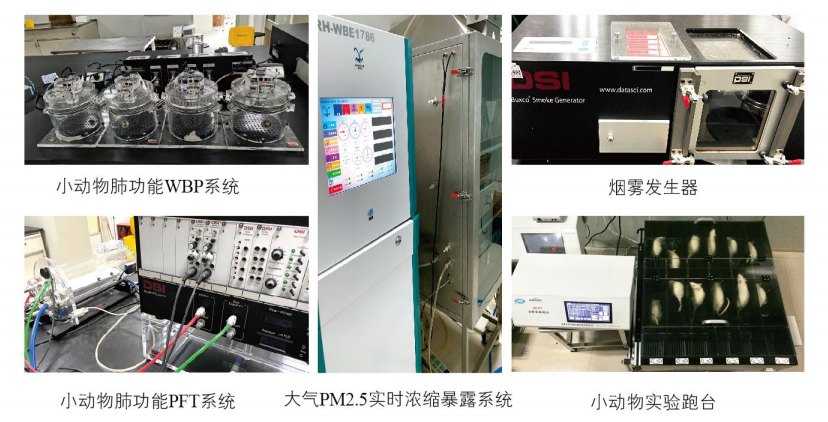 动物模型平台-呼吸疾病中医药防治省部共建协同创新中心